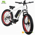 En15194 Approved Middle Drive Motor Electric Bicycle